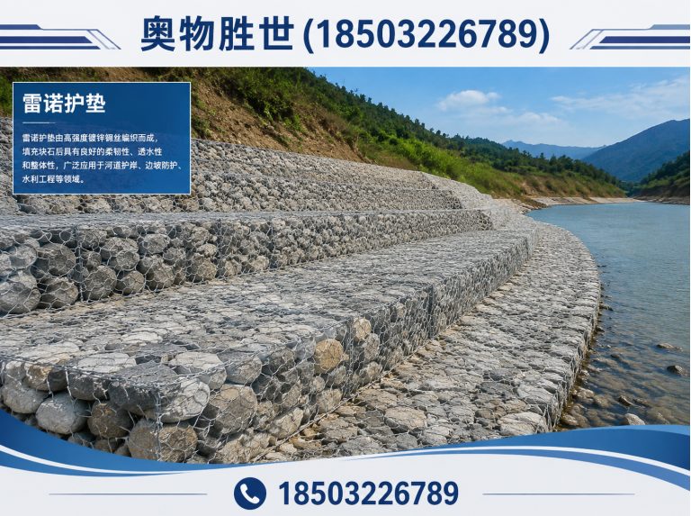 大同格宾网展示图